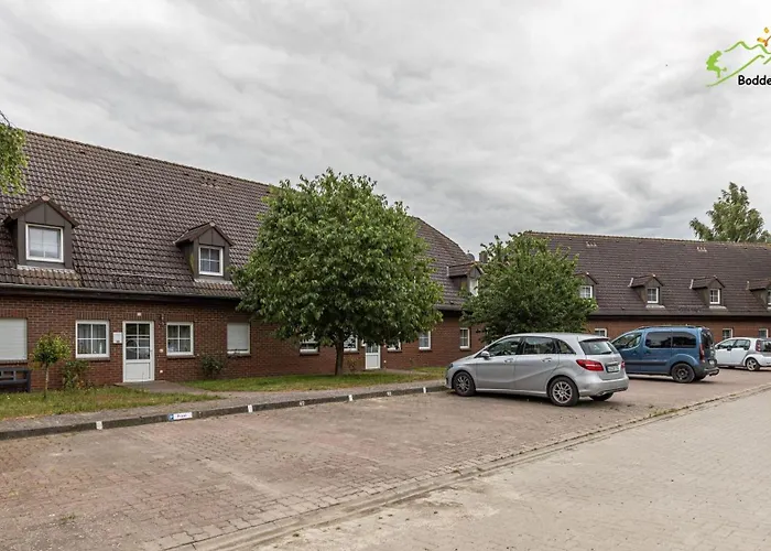 Fuer Fuenf 54 * Stedar